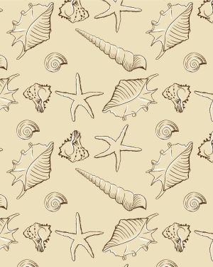 Seashells 28