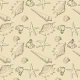 Seashells-28.jpg