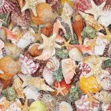 Seashells-40.jpg