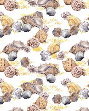 Seashells & Sand