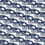Seattle-Seahawks-22.jpg
