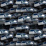 Seattle-Seahawks-24.jpg