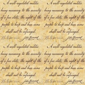 Second Amendment 22