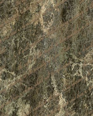 Second Amendment 23 Camouflage