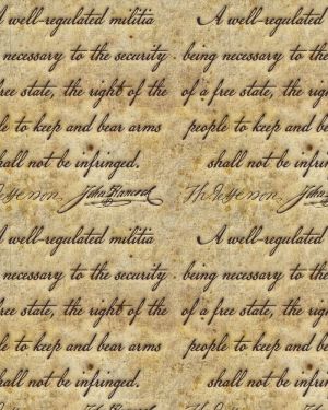 Second Amendment 23