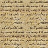 Second-Amendment-23.jpg