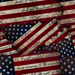 Second Amendment Flag 22