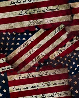 Second Amendment Flag 22