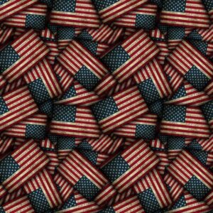 Second Amendment Flag 23