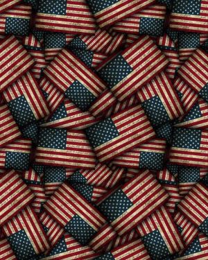Second Amendment Flag 23
