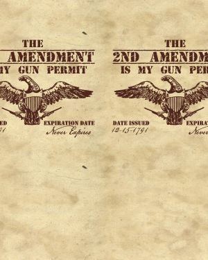 Second Amendment Gun Permit 11×16