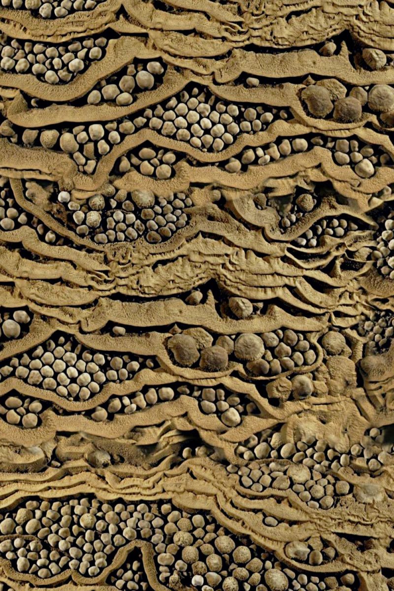 Sedimentary
