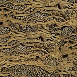 Sedimentary-Balls.jpg