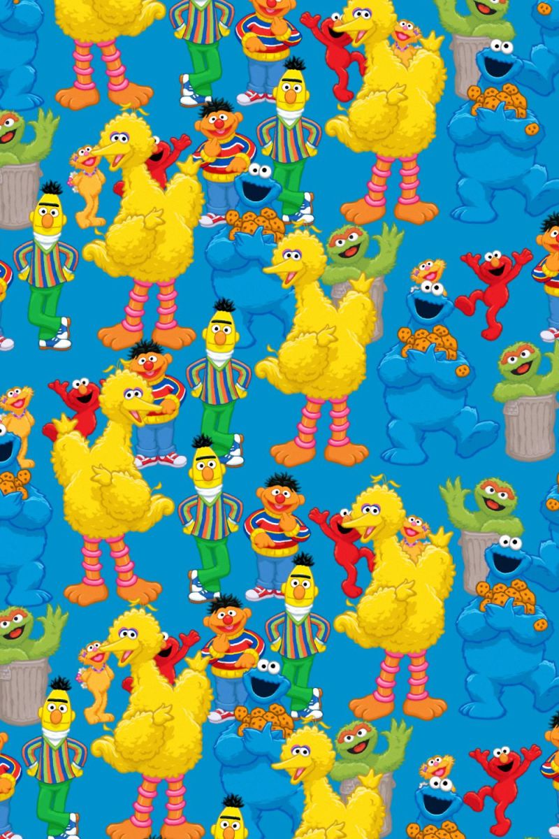 Sesame Street 26