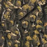 Shadow-Woods.jpg
