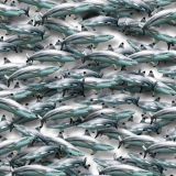 Shark-Attack-20.jpg