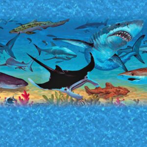 Sharks 11x16