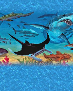 Sharks 11×16