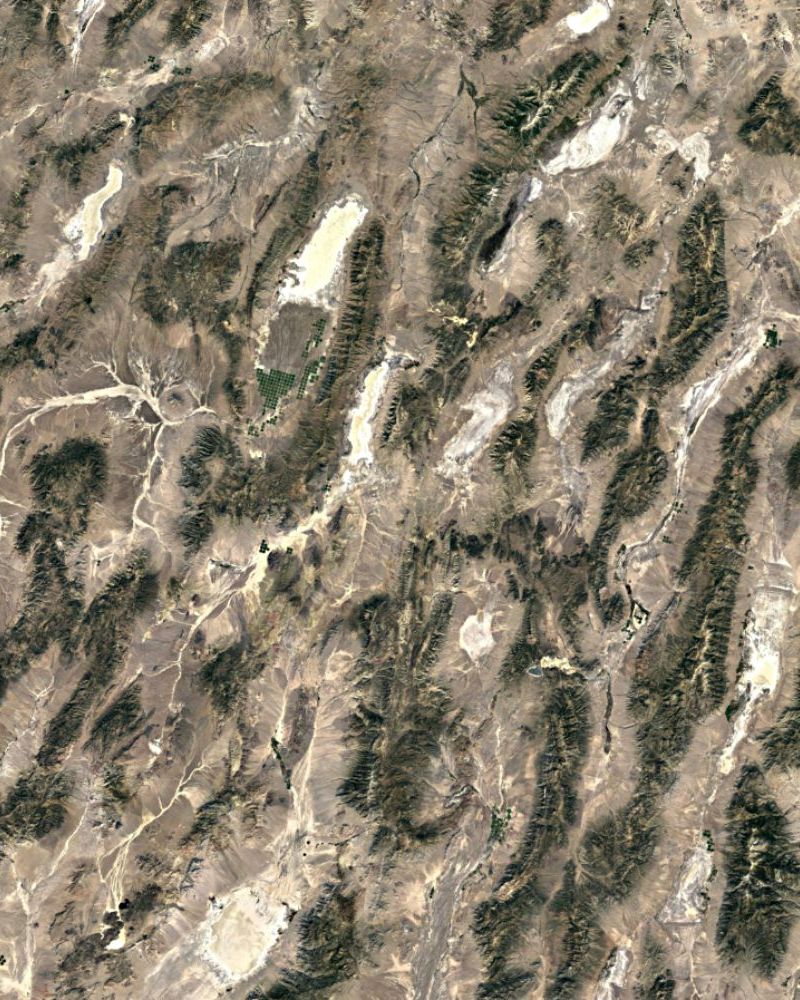 Shoshone Mountain Camouflage