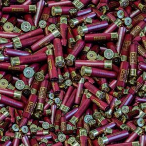 Shotgun Shells 22
