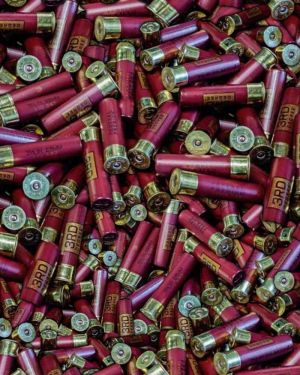 Shotgun Shells 22