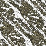 Shredded-22-Camo.jpg