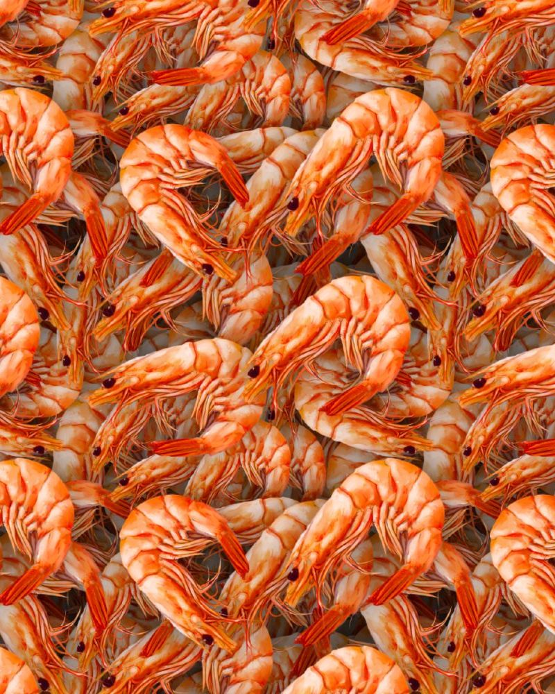 Shrimp 23
