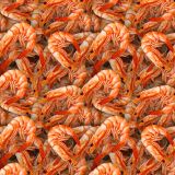 Shrimp-23.jpg