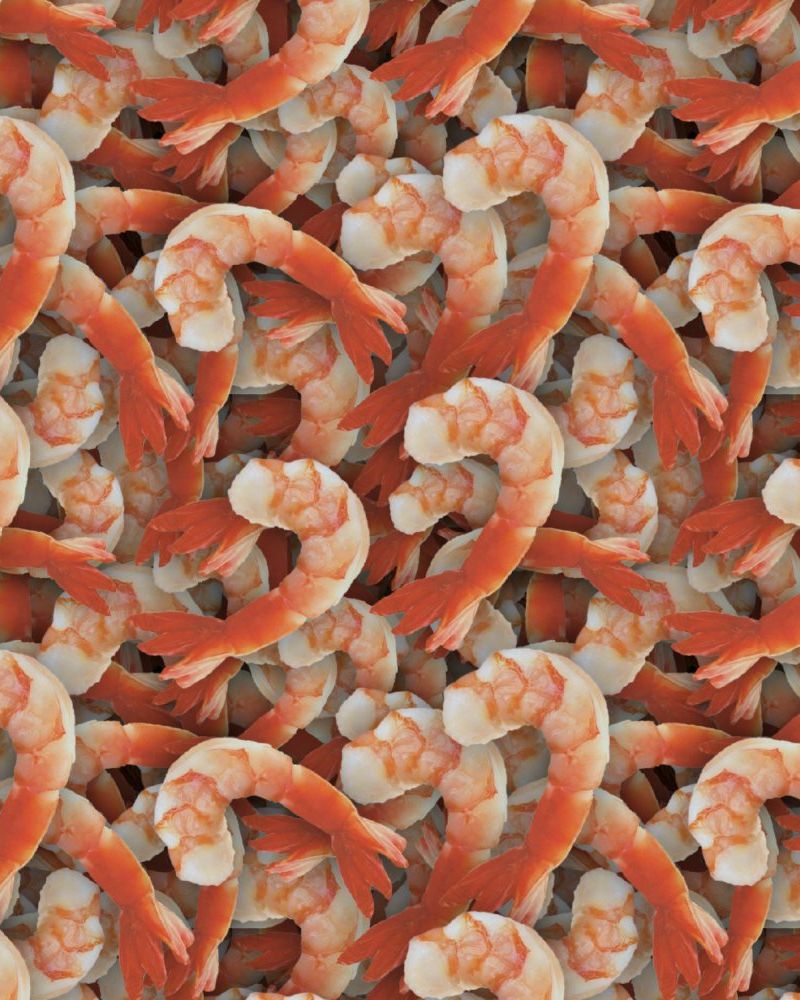 Shrimp 24
