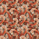 Shrimp-24.jpg