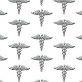 Silver-Caduceus-25.jpg