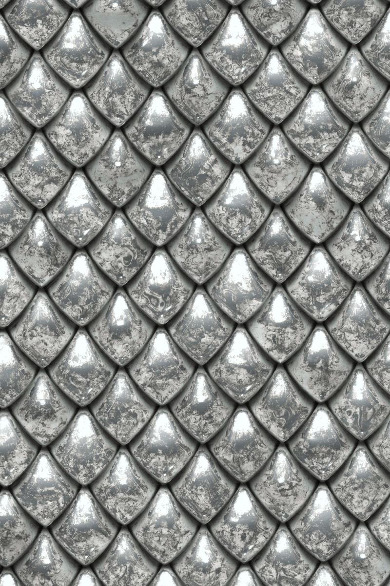 Silver Dragon Scales