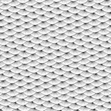 Silver-Fish-Scales-23-thumb.jpg
