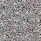 Silver-Roman-Coins-22.jpg