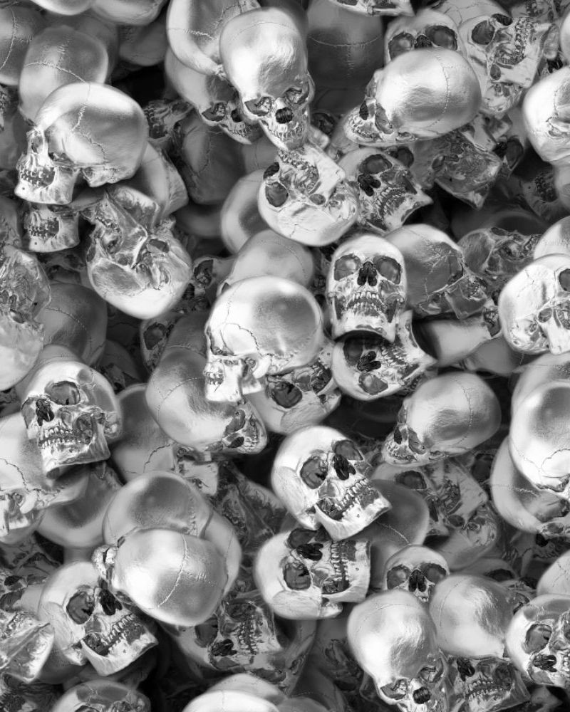Silver Skulls