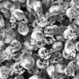 Silver-Skulls.jpg