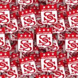 Sivasspor.jpg