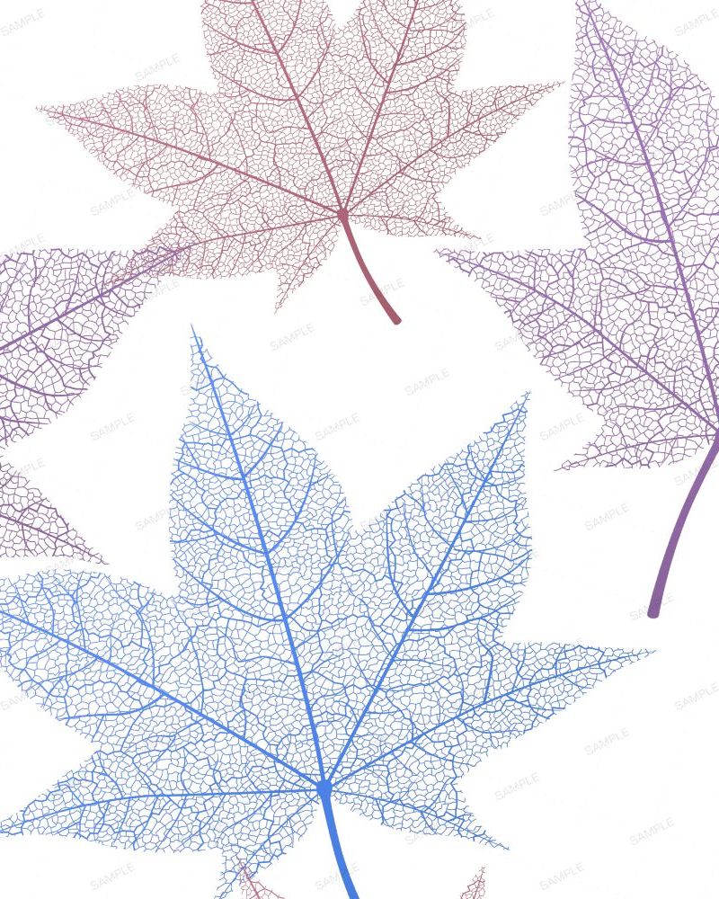Skeleton Leaves 22