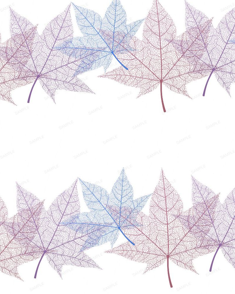 Skeleton Leaves 23