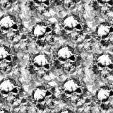 Skull-AR-15-23.jpg