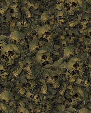 Skull 24 Camouflage