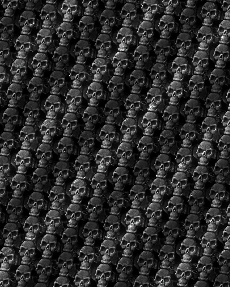 Skull Carbon Fiber 24