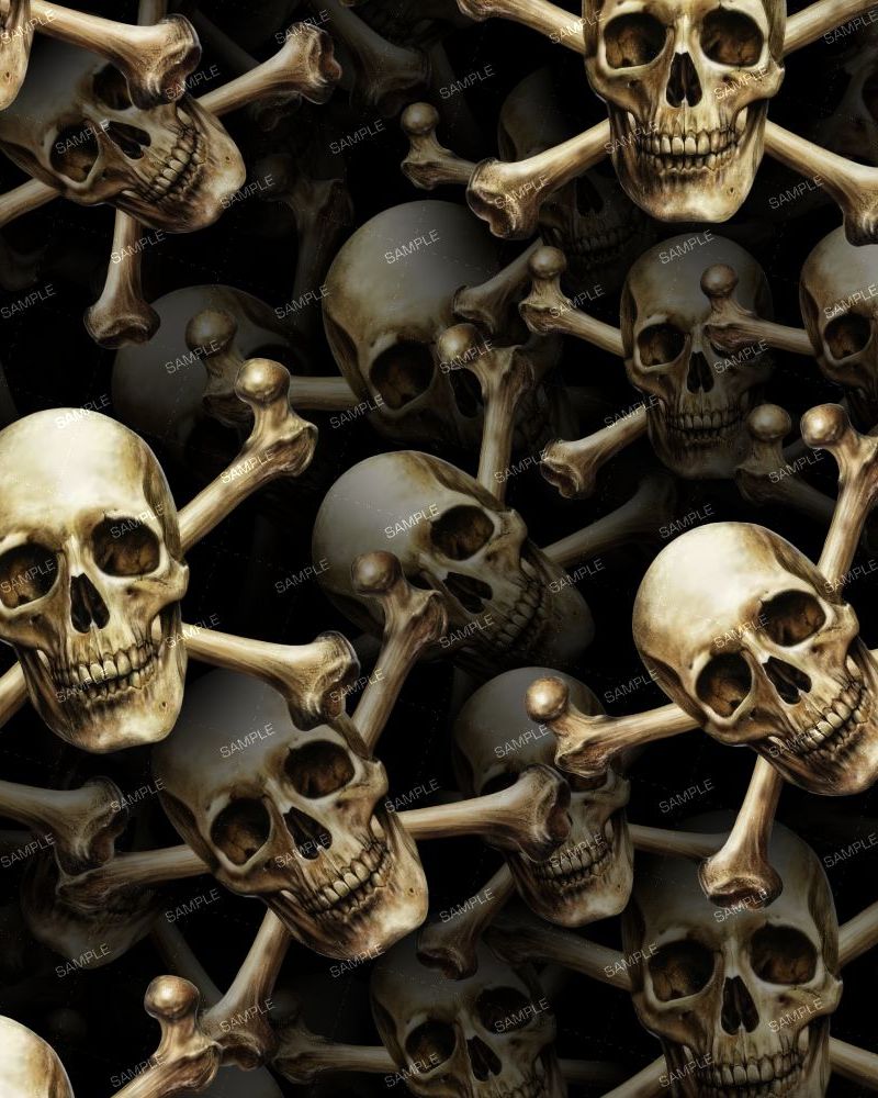 Skull & Cross Bones 26