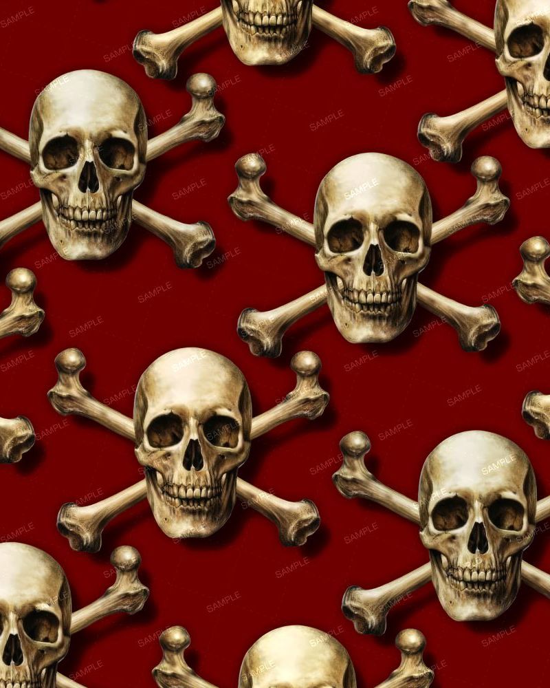 Skull & Cross Bones 29