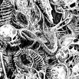 Skull-Extraction-thumb.jpg
