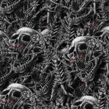 Skull-Spider.jpg