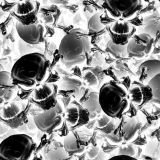 Skull-and-Cross-Bones-23.jpg