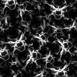 Skull-and-Cross-Bones-25.jpg