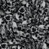 Skull-and-Roses-44-thumb.jpg