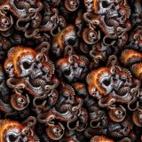Skull-and-Snake-22.jpg